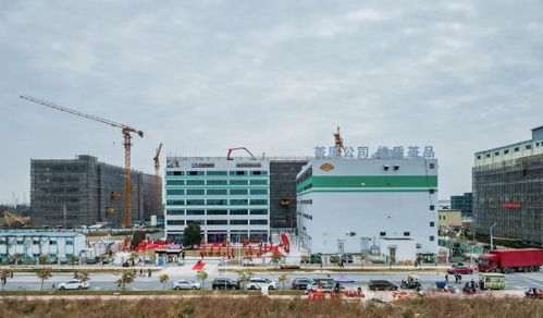 茶里集團(tuán)南沙總部落成，推動高端袋泡茶標(biāo)準(zhǔn)化、工業(yè)化與科技化進(jìn)程